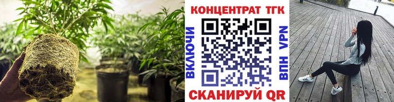 ТГК THC oil  Белоозёрский 